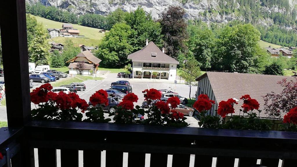 Staubbach Beautiful Waterfall * Lauterbrunnen